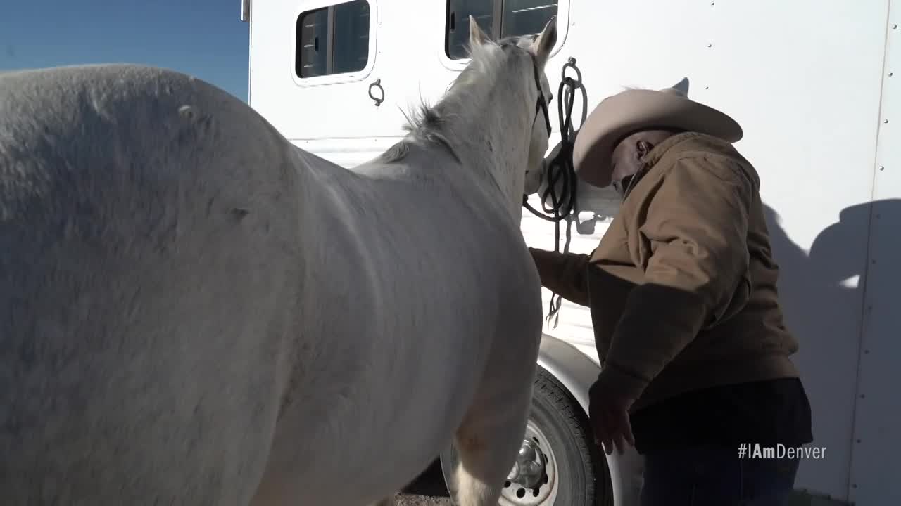 Thumbnail image for Maurice Wade - Black Cowboy